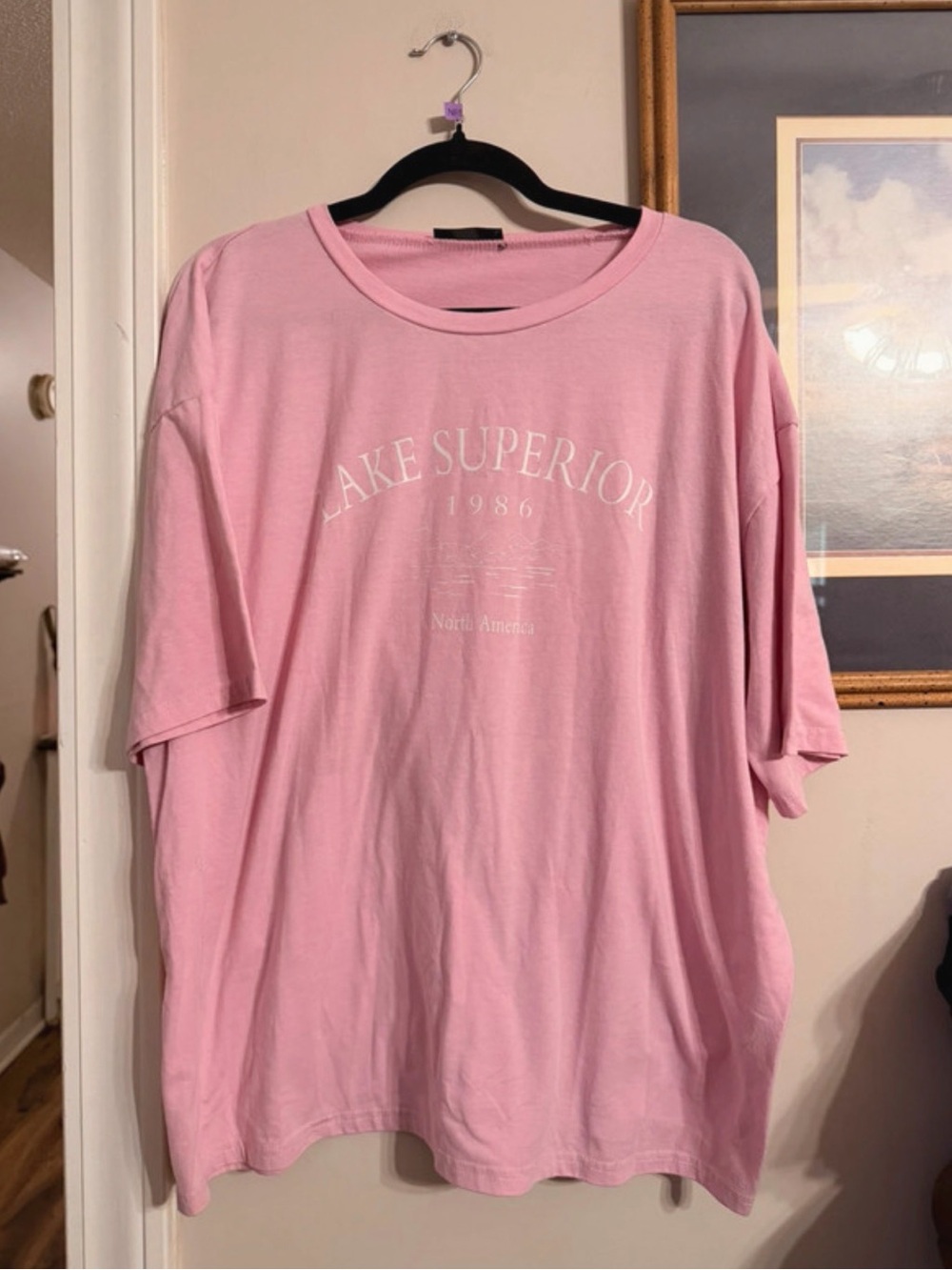 Lake Superior Graphic Tee - Pink Shein Womens Tshirt